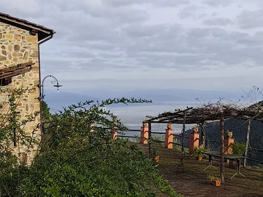 Immagine 16 di Casa colonica in vendita  a Capannori