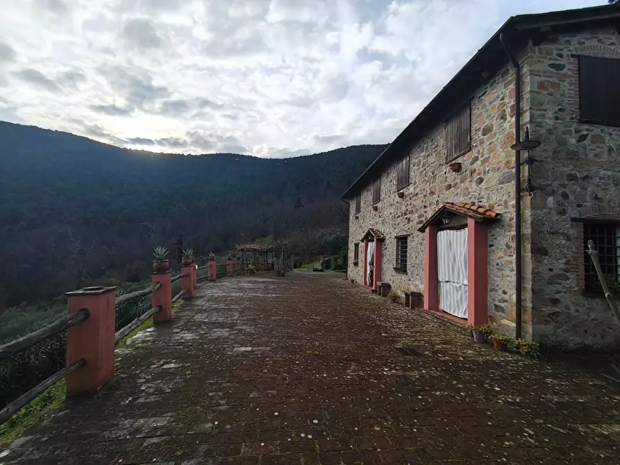Immagine 12 di Casa colonica in vendita  a Capannori