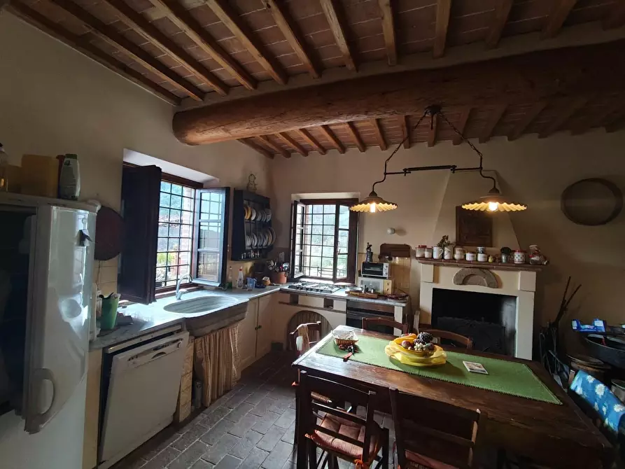 Immagine 20 di Casa colonica in vendita  a Capannori