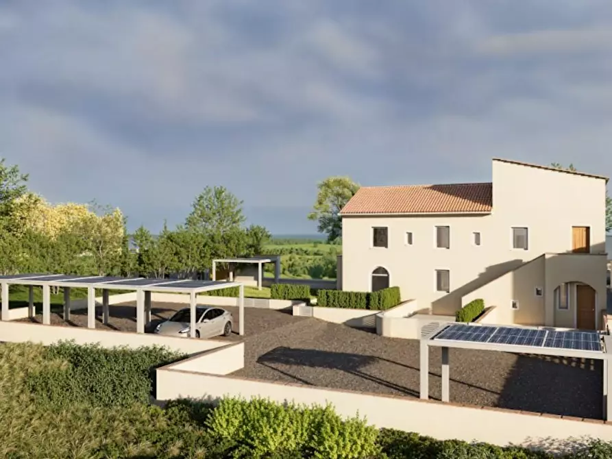 Immagine 6 di Terratetto in vendita  a Terricciola