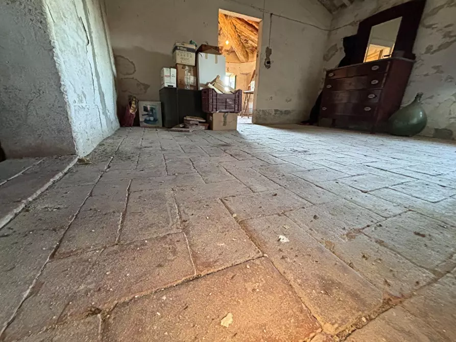 Immagine 34 di Porzione di casa in vendita  a Terricciola