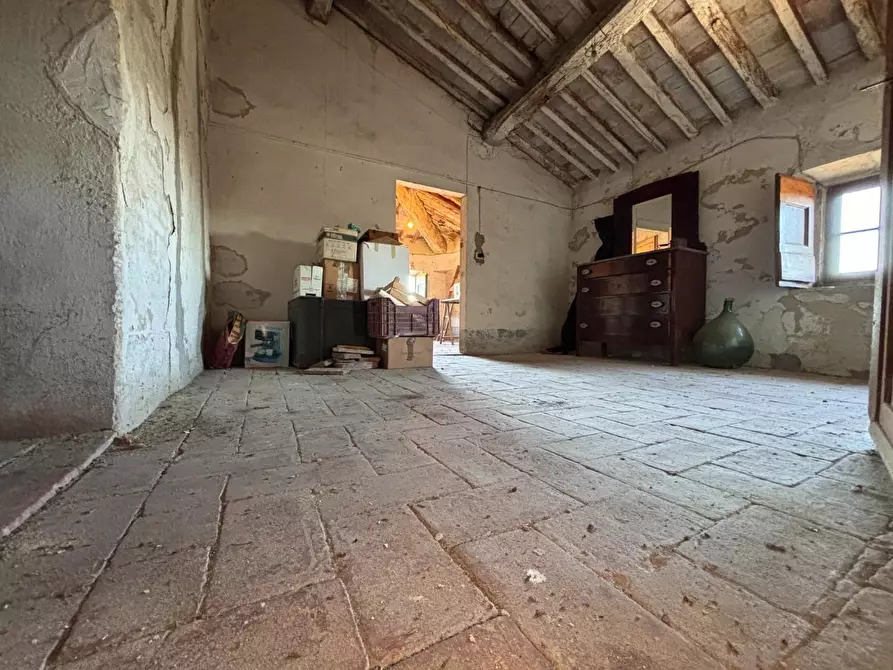 Immagine 35 di Porzione di casa in vendita  a Terricciola