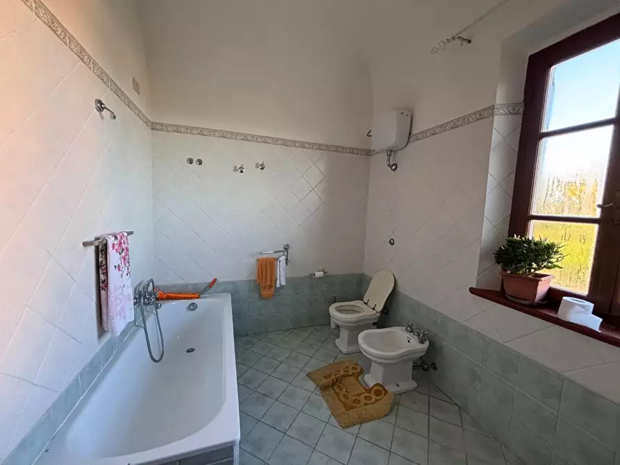 Immagine 11 di Porzione di casa in vendita  a Terricciola