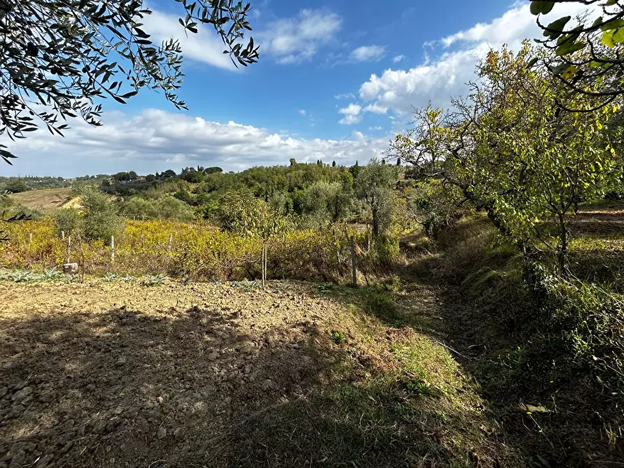 Immagine 2 di Porzione di casa in vendita  a Terricciola