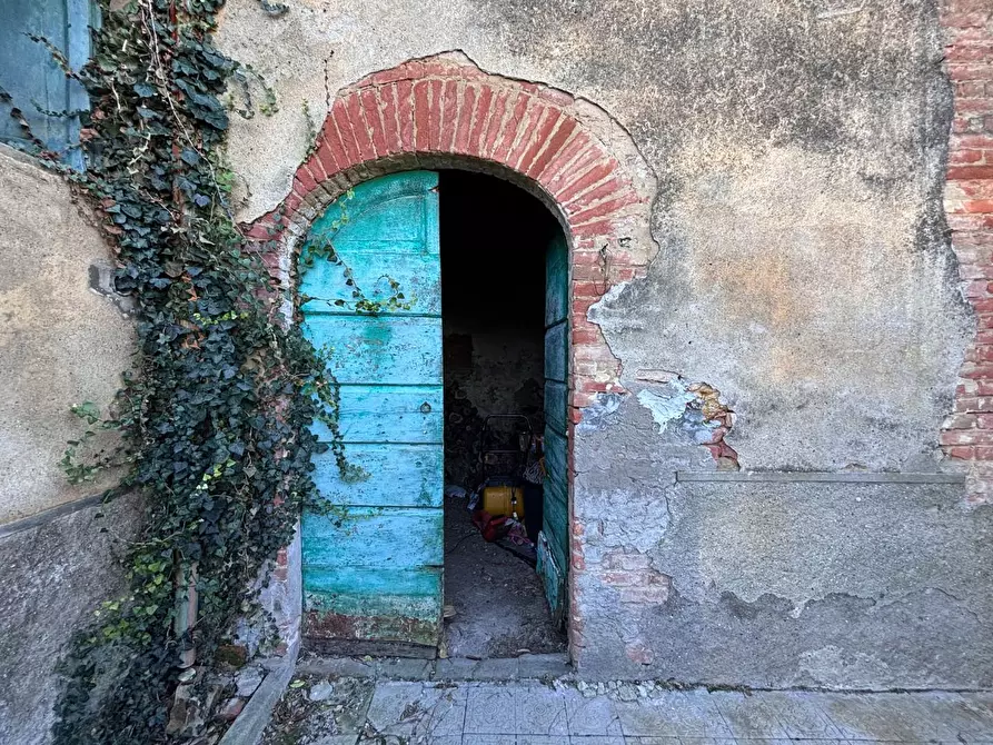 Immagine 24 di Porzione di casa in vendita  a Terricciola