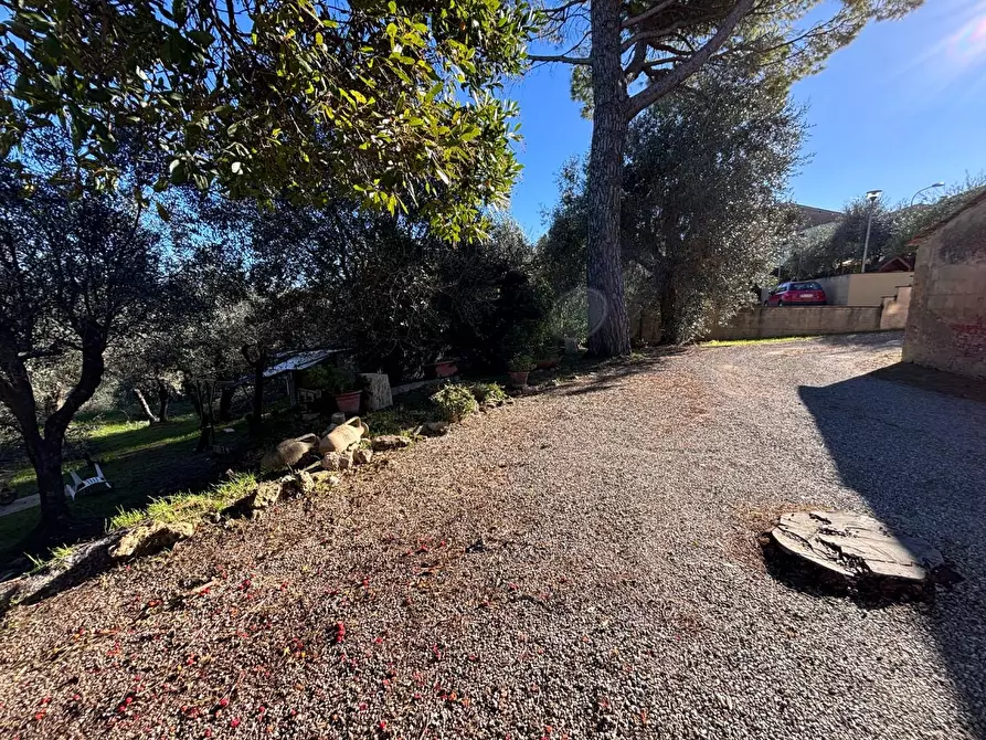 Immagine 20 di Porzione di casa in vendita  a Terricciola