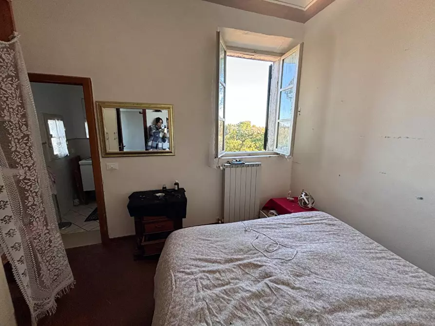 Immagine 15 di Porzione di casa in vendita  a Terricciola