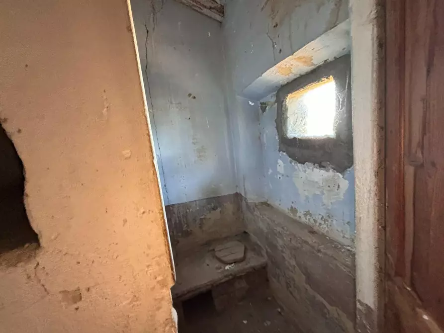 Immagine 31 di Porzione di casa in vendita  a Terricciola