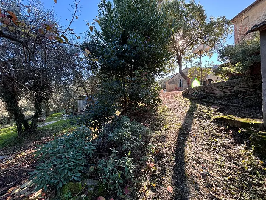 Immagine 1 di Porzione di casa in vendita  a Terricciola