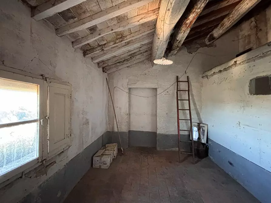 Immagine 32 di Porzione di casa in vendita  a Terricciola