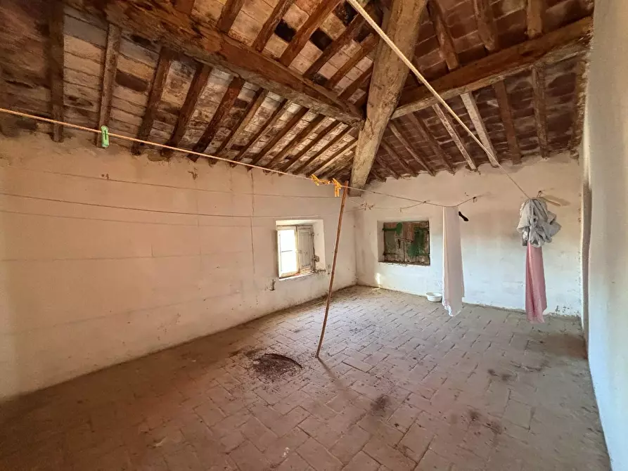 Immagine 37 di Porzione di casa in vendita  a Terricciola
