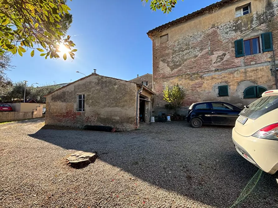 Immagine 21 di Porzione di casa in vendita  a Terricciola