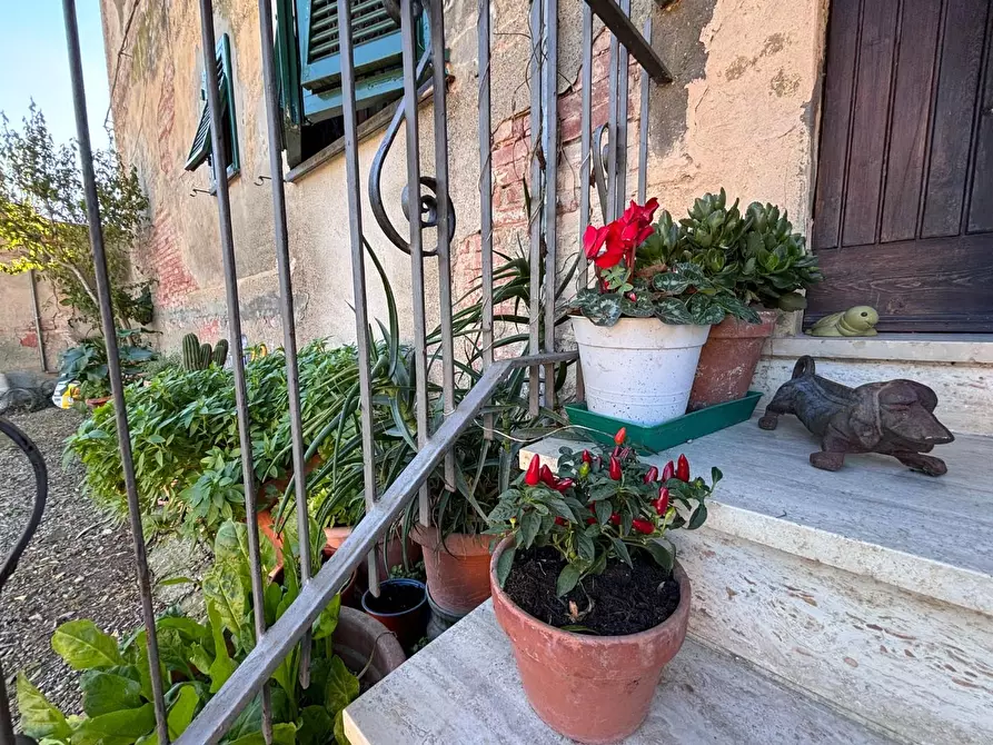 Immagine 26 di Porzione di casa in vendita  a Terricciola