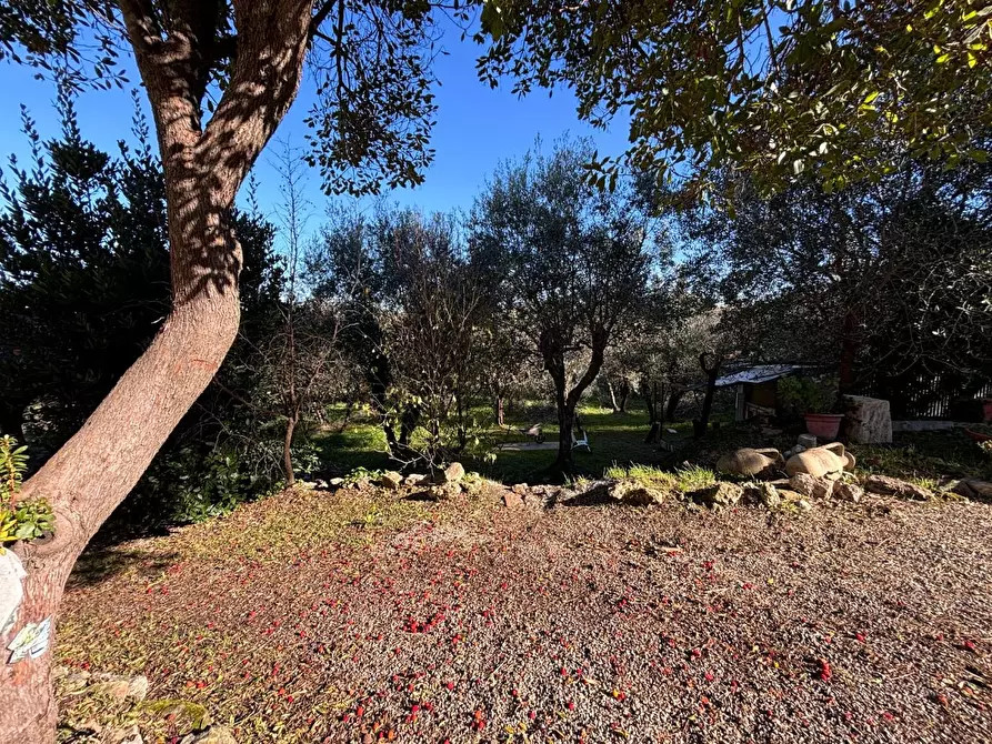 Immagine 19 di Porzione di casa in vendita  a Terricciola