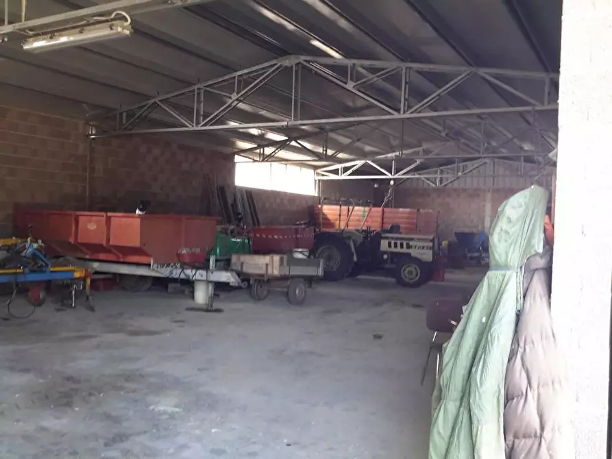 Immagine 7 di Azienda agricola in vendita  a Castiglione Del Lago