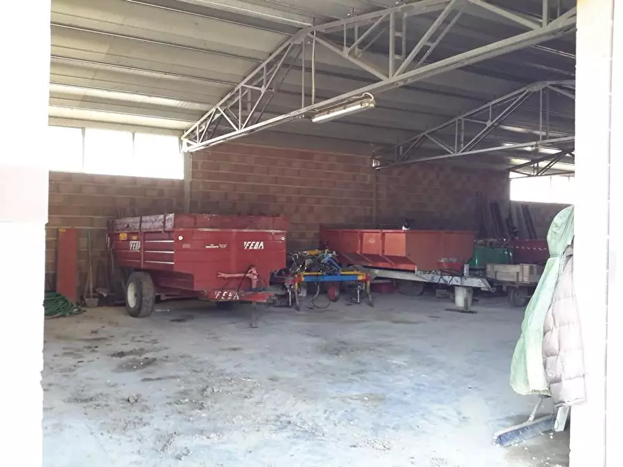 Immagine 8 di Azienda agricola in vendita  a Castiglione Del Lago
