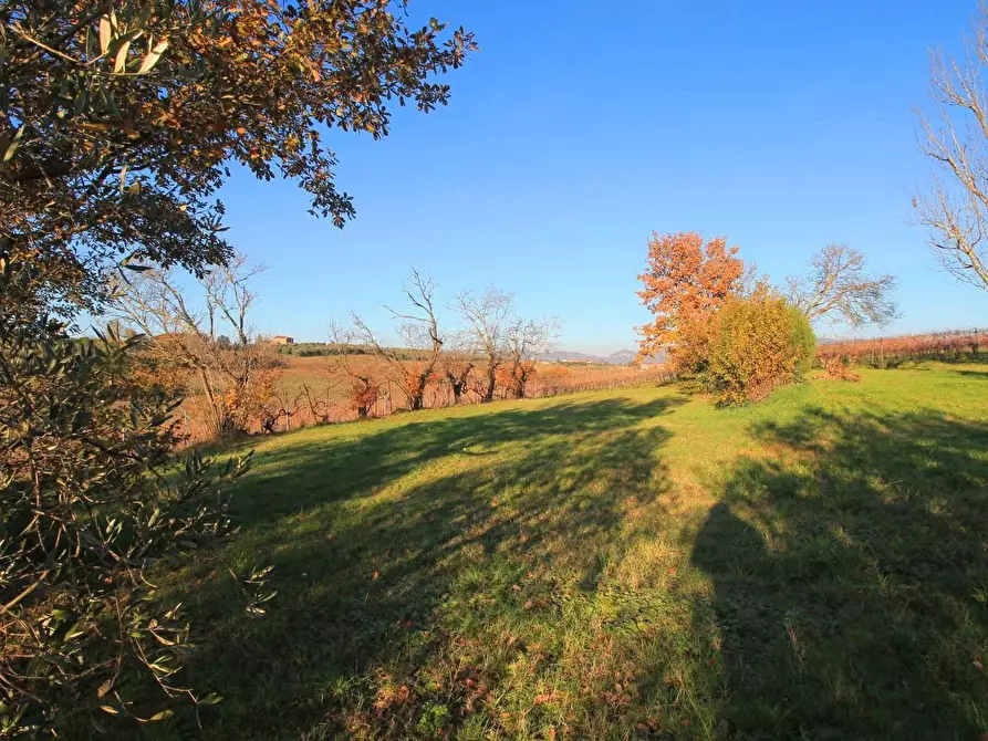 Immagine 30 di Casa colonica in vendita  a Cerreto Guidi