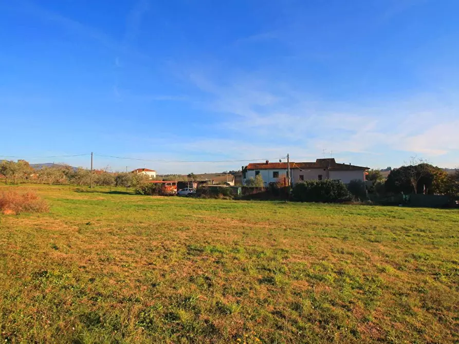 Immagine 3 di Casa colonica in vendita  a Cerreto Guidi