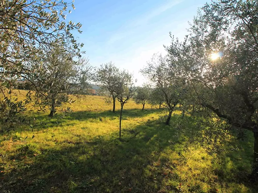 Immagine 31 di Casa colonica in vendita  a Cerreto Guidi
