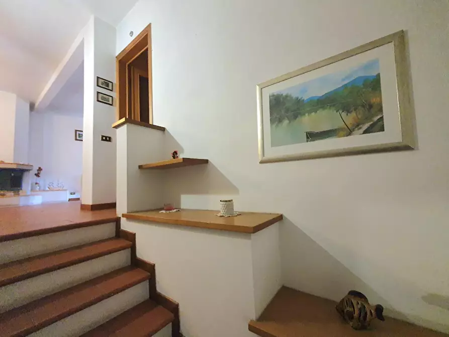 Immagine 32 di Terratetto in vendita  a Lucca