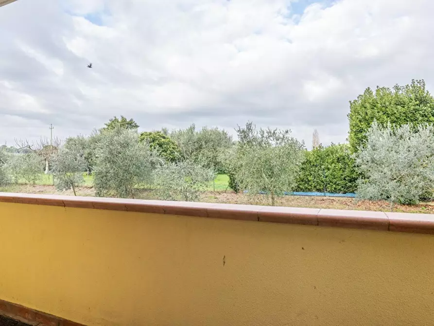 Immagine 15 di Villetta a schiera in vendita  a Crespina Lorenzana