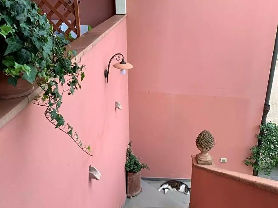 Immagine 27 di Appartamento in vendita  a Pontedera