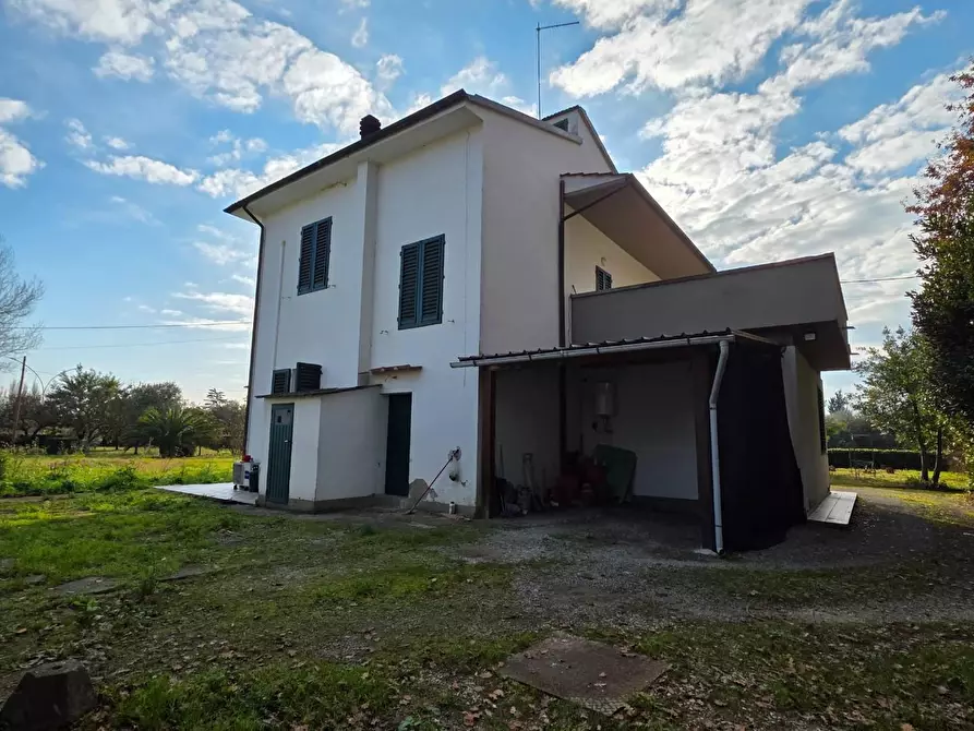 Immagine 6 di Terratetto in vendita  a Empoli