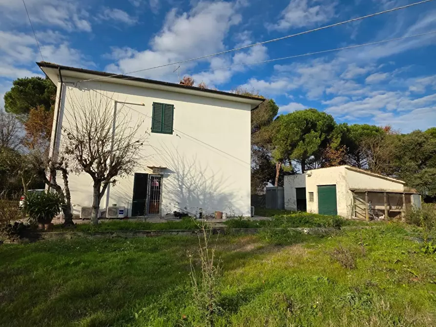 Immagine 5 di Terratetto in vendita  a Empoli