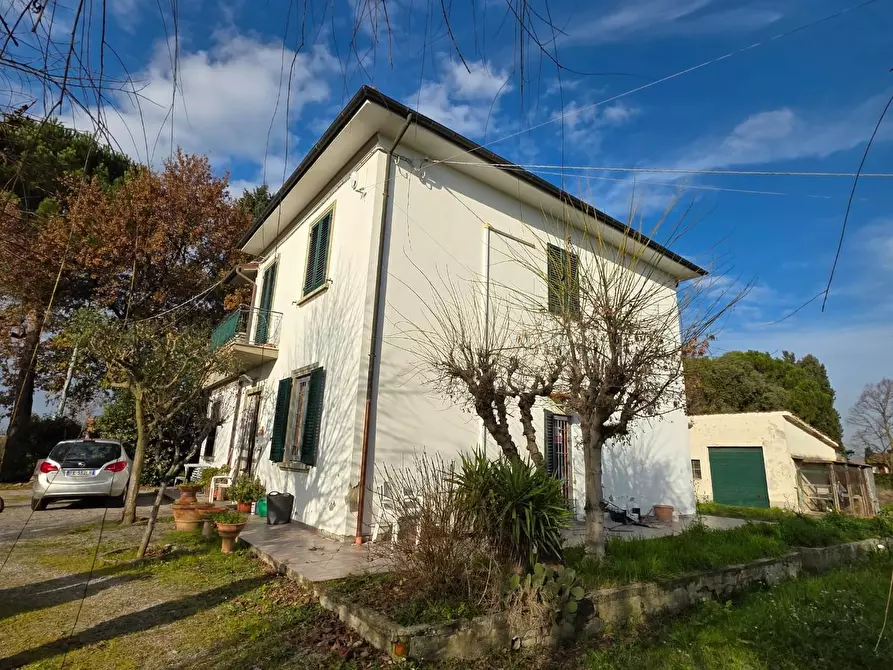 Immagine 3 di Terratetto in vendita  a Empoli