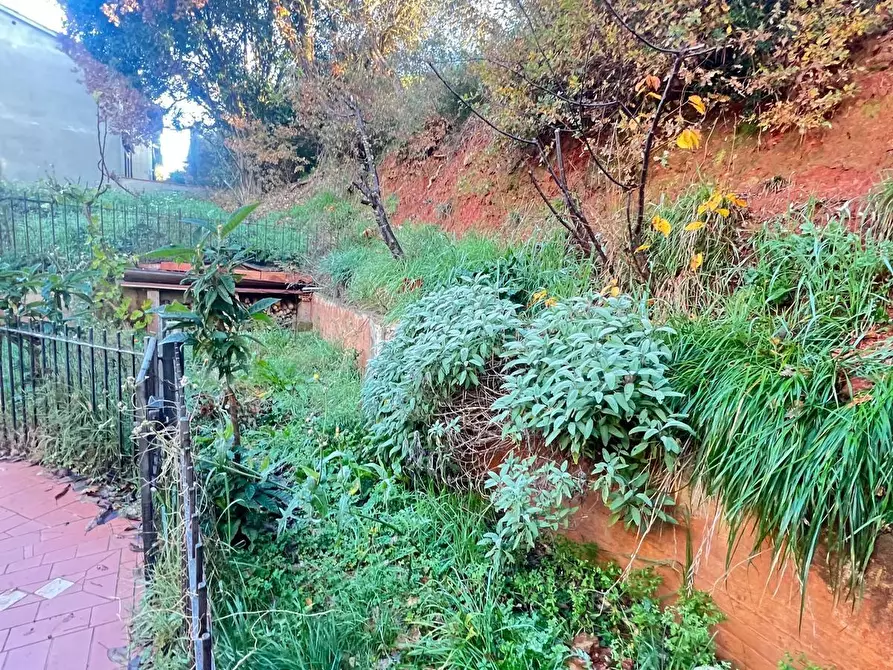 Immagine 15 di Appartamento in vendita  a Casole D'elsa