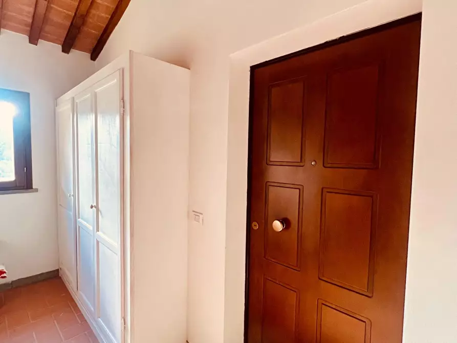 Immagine 17 di Appartamento in vendita  a Castagneto Carducci
