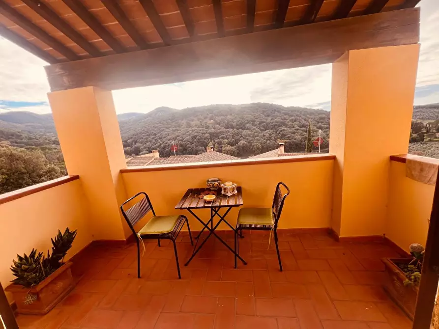 Immagine 13 di Appartamento in vendita  a Castagneto Carducci