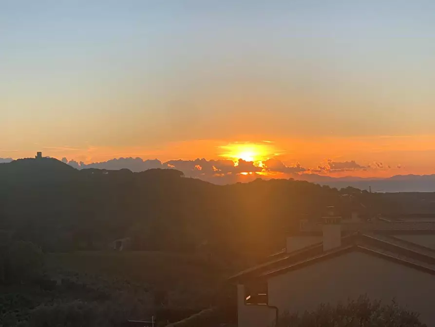 Immagine 18 di Appartamento in vendita  a Castagneto Carducci