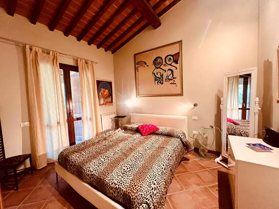 Immagine 4 di Appartamento in vendita  a Castagneto Carducci