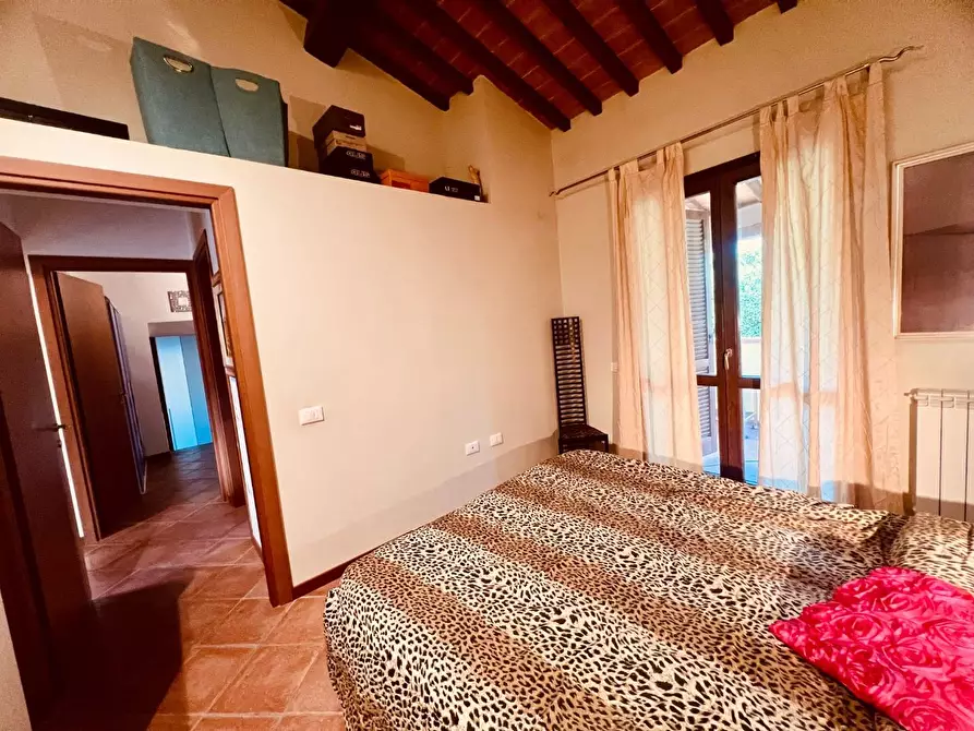 Immagine 5 di Appartamento in vendita  a Castagneto Carducci