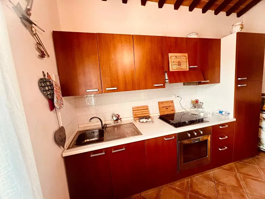 Immagine 16 di Appartamento in vendita  a Castagneto Carducci