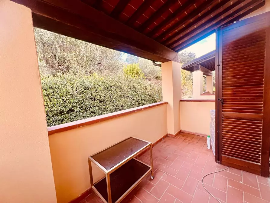 Immagine 6 di Appartamento in vendita  a Castagneto Carducci