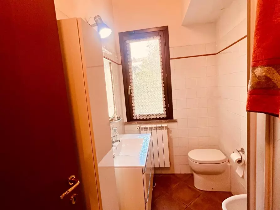 Immagine 8 di Appartamento in vendita  a Castagneto Carducci