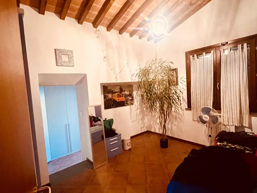 Immagine 9 di Appartamento in vendita  a Castagneto Carducci