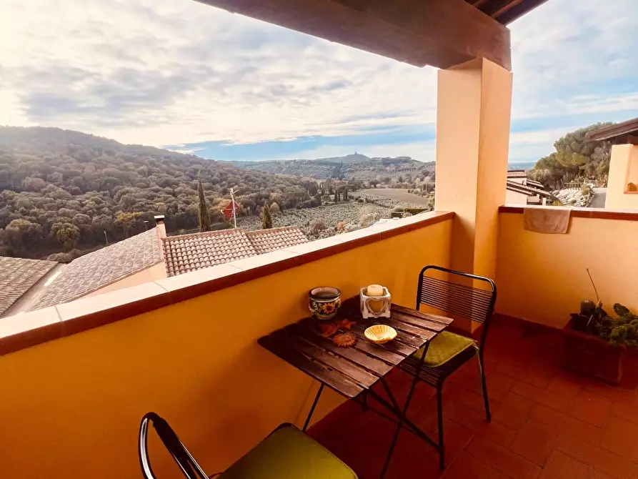 Immagine 15 di Appartamento in vendita  a Castagneto Carducci