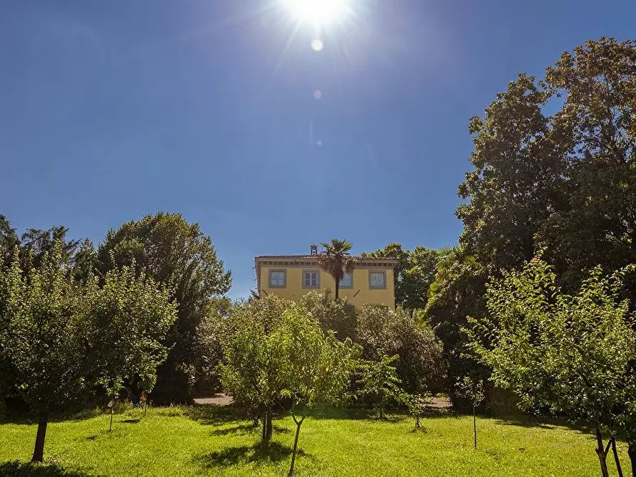 Immagine 33 di Villa in vendita  a Capannori