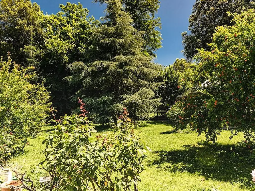 Immagine 28 di Villa in vendita  a Capannori