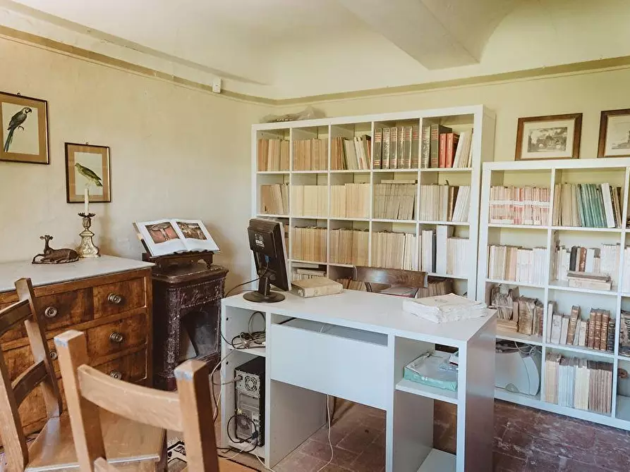 Immagine 6 di Villa in vendita  a Capannori