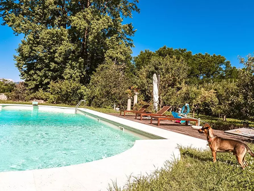 Immagine 31 di Villa in vendita  a Capannori