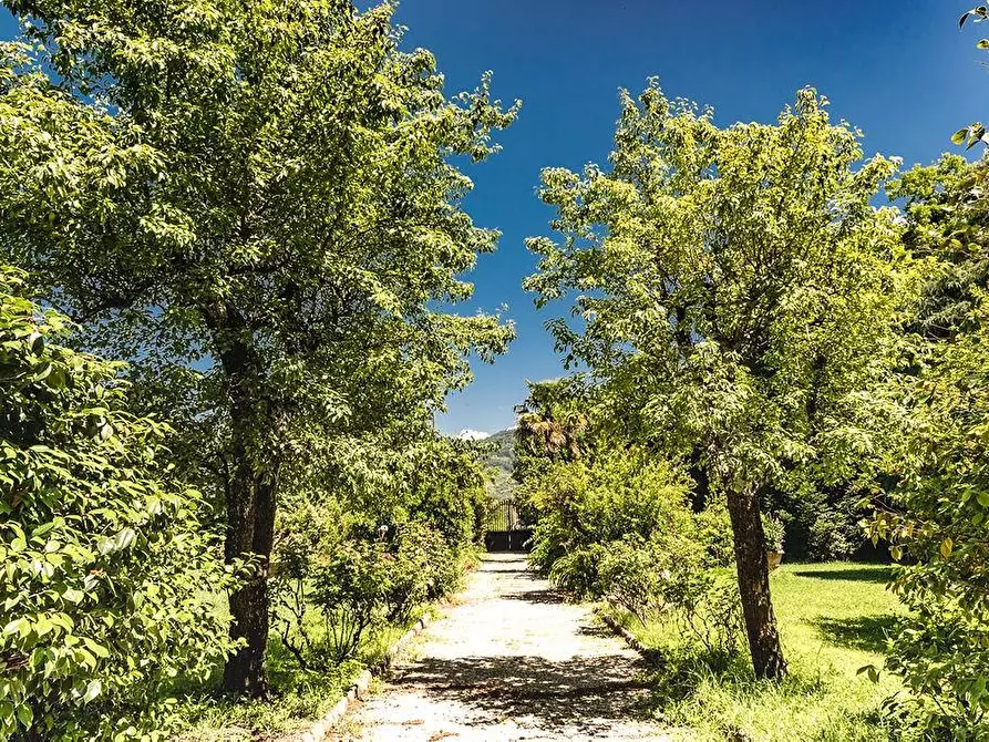 Immagine 3 di Villa in vendita  a Capannori