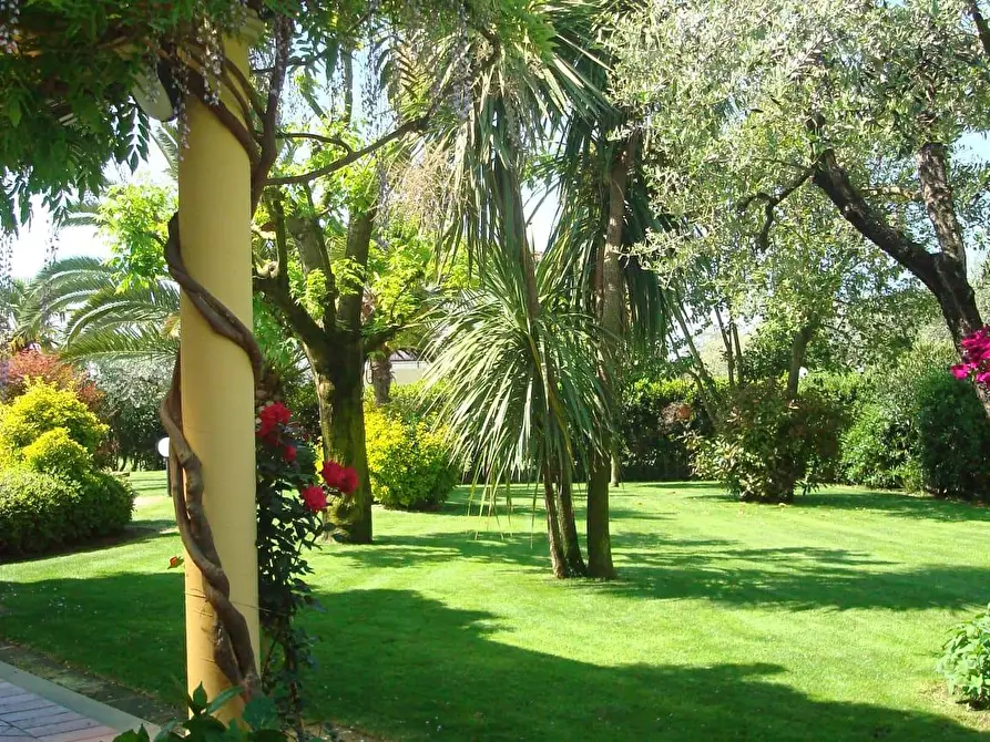 Immagine 3 di Villa in vendita  a Montignoso