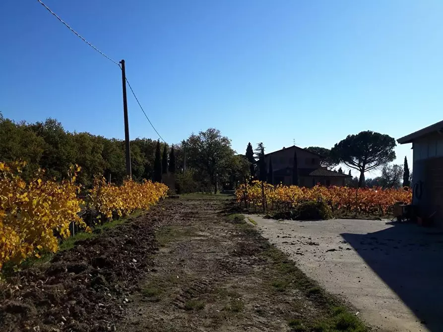 Immagine 10 di Casa colonica in vendita  a Castiglione Del Lago