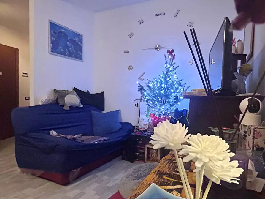 Immagine 5 di Appartamento in vendita  a Livorno