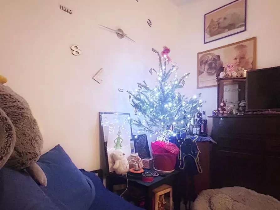 Immagine 12 di Appartamento in vendita  a Livorno