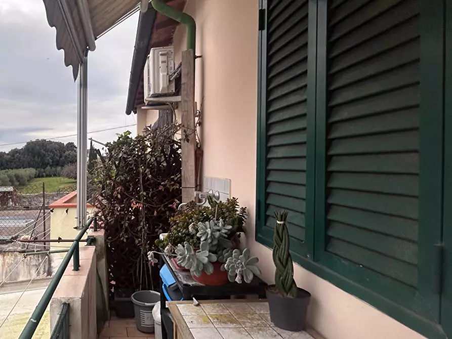 Immagine 3 di Appartamento in vendita  a Livorno